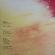 Image: Pearl Jam – Binaural Vinyl LP | Relix