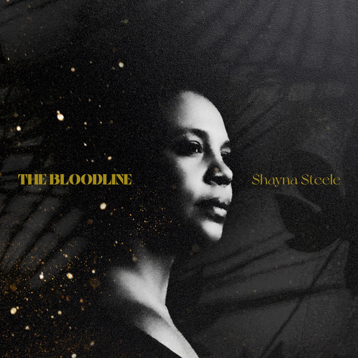 Image: Shayna Steele – Gold Dust CD | Relix