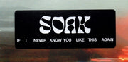 Image: Soak – If I Never Know You Like This Again Vinyl LP | Relix