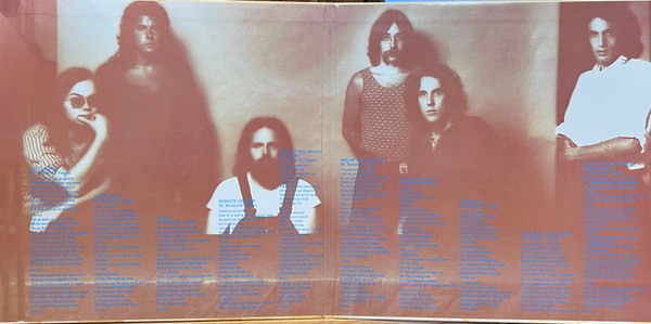 Image: Steely Dan – Can't Buy A Thrill (Tgv LP Vinyl) Vinyl LP | Relix