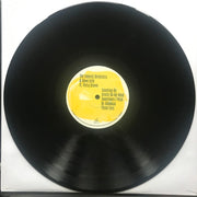 Image: The Colorist Orchestra & Howe Gelb – Not On The Map Vinyl LP | Relix