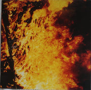 Image: The Mountain Goats – Heretic Pride Vinyl LP | Relix