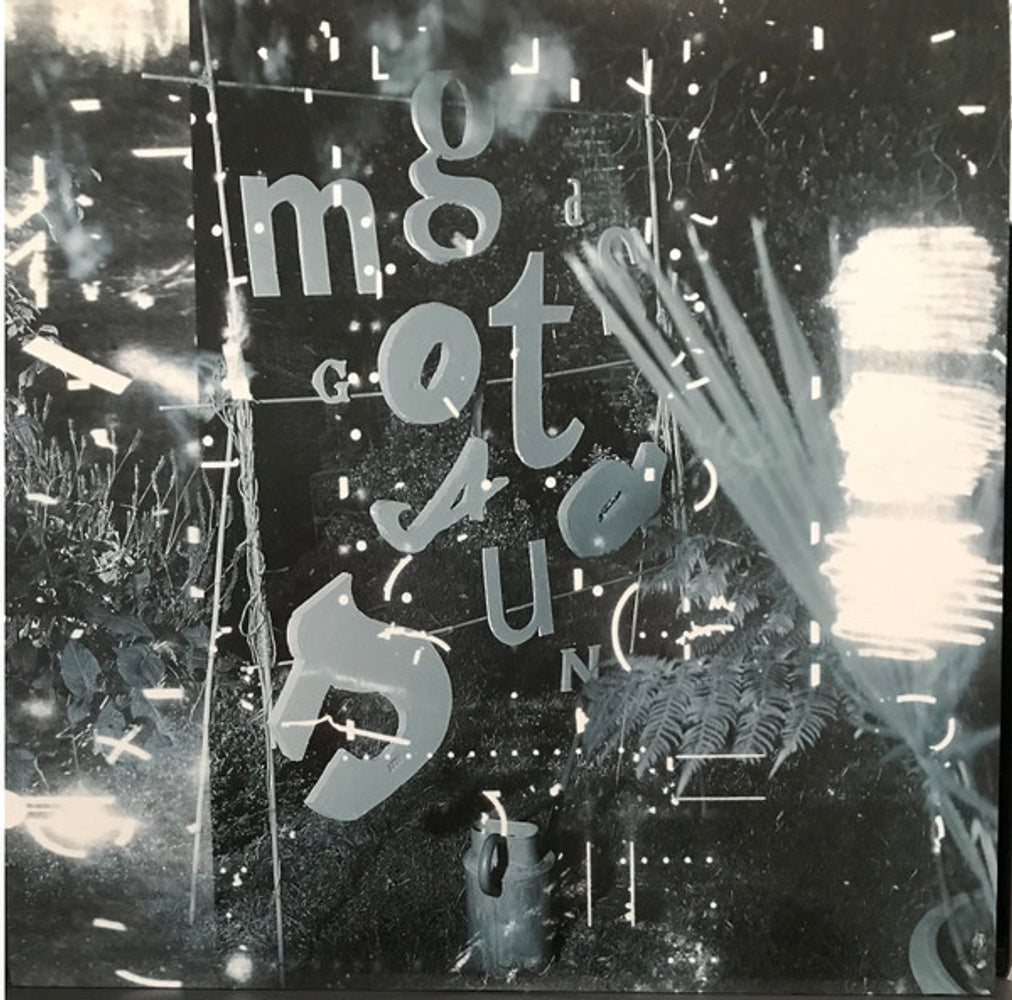 Image: The Mountain Goats – Tallahassee Vinyl LP | Relix