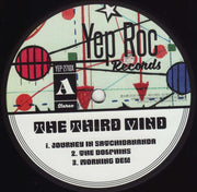 Image: The Third Mind – The Third Mind (First Edition LP Vinyl) Vinyl LP | Relix