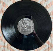 Image: They Are Gutting a Body of Water – Destiny XL Vinyl LP | Relix
