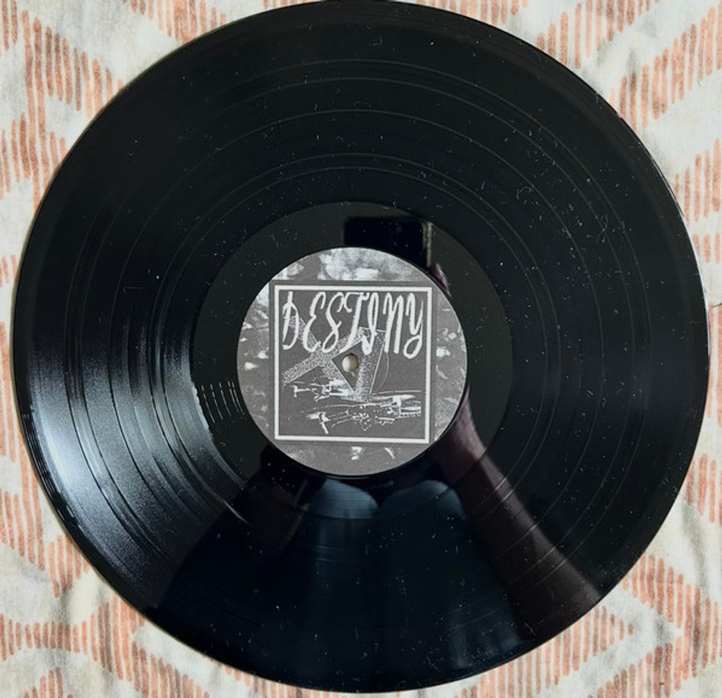 Image: They Are Gutting a Body of Water – Destiny XL Vinyl LP | Relix