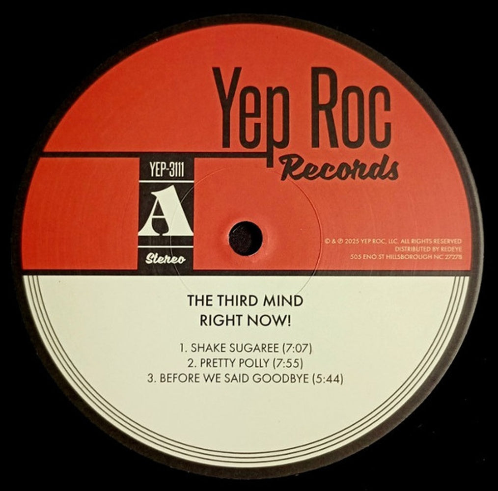 Image: Third Mind – Right Now (Bonus Track, Download Included LP Vinyl) Vinyl LP | Relix