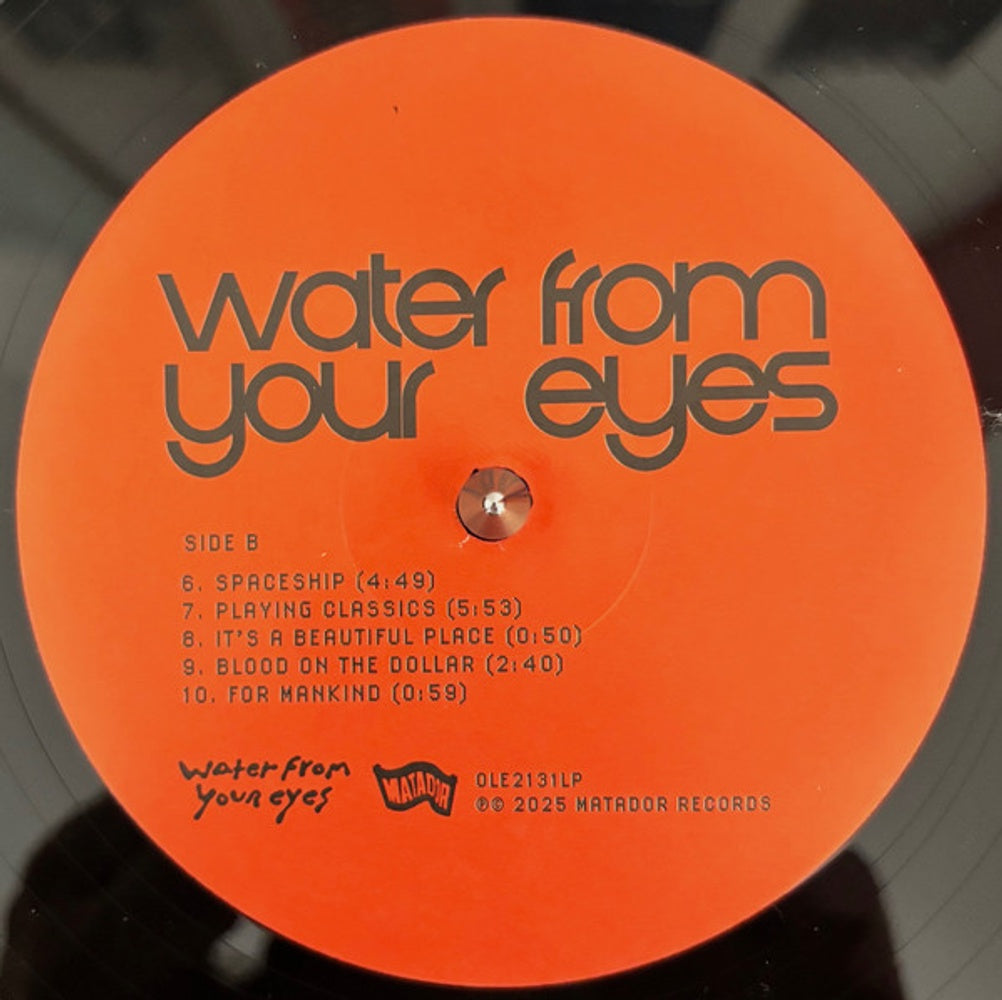 Image: Water From Your Eyes – It's A Beautiful Place Vinyl LP | Relix