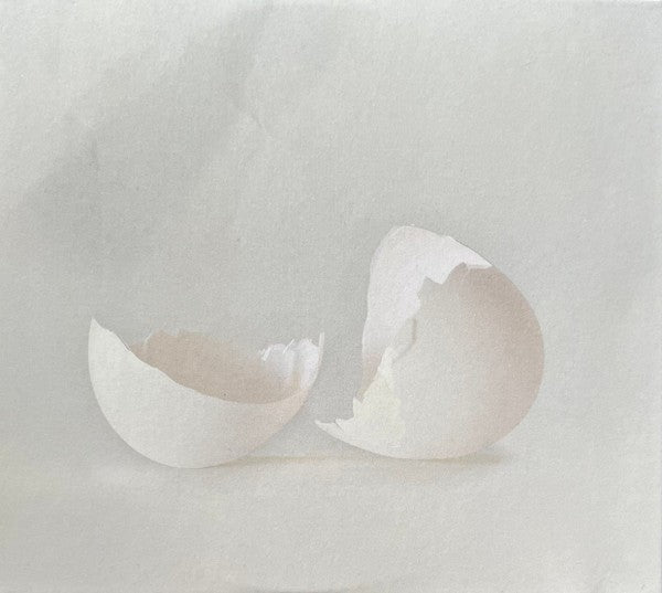 Image: Wilco – A Ghost Is Born (Deluxe Edition) - CD | Relix