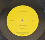 Image: Wilco – A Ghost Is Born (Deluxe Edition) - Vinyl LP | Relix