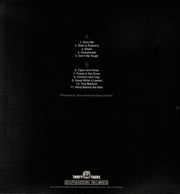 Jason Isbell – Foxes in the Snow (LP Vinyl) - Detail