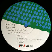 Label Disc 2: Courtney Barnett – Sometimes I Sit And Think, And Sometimes I Just Sit Vinyl LP | Relix