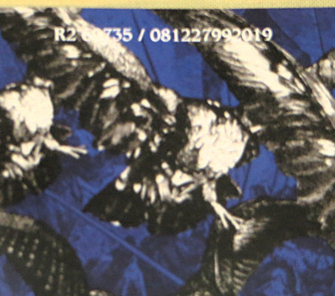 Label Disc 2: Dokken – Back for the Attack CD | Relix