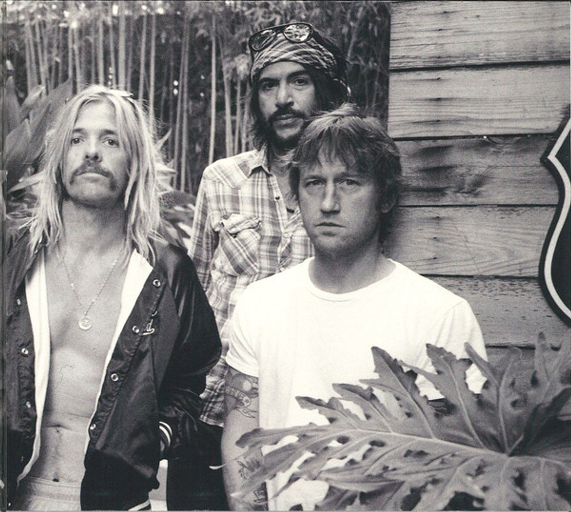 Label Disc 2: Foo Fighters – The Essential Foo Fighters CD | Relix