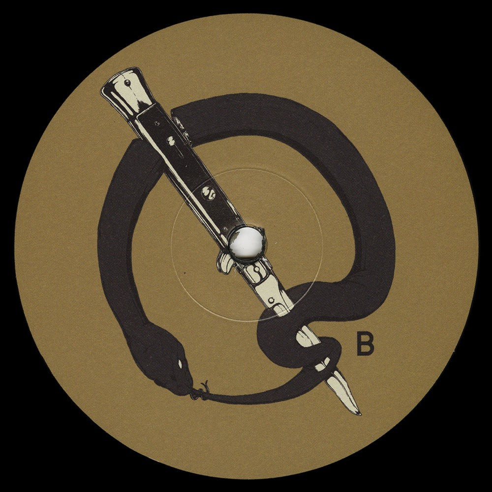 Label Disc 2: Queens Of The Stone Age – Villains Vinyl LP | Relix