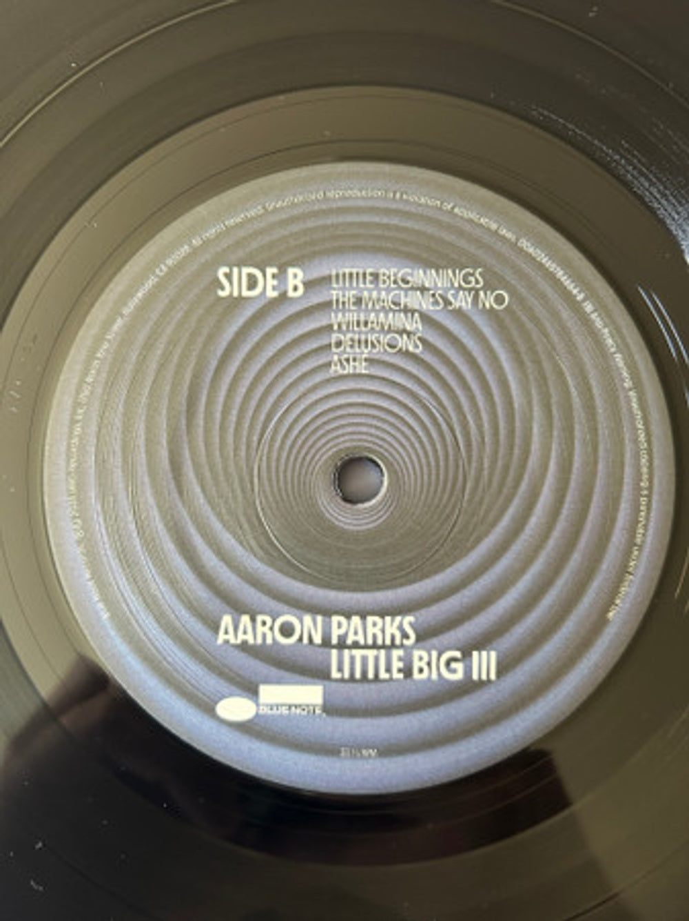 Label Disc: Aaron Parks – Little Big Iii Vinyl LP | Relix