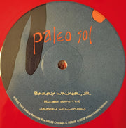 Label Disc: Barry Walker  Jr – Paleo Sol (Download Included LP Vinyl) Vinyl LP | Relix