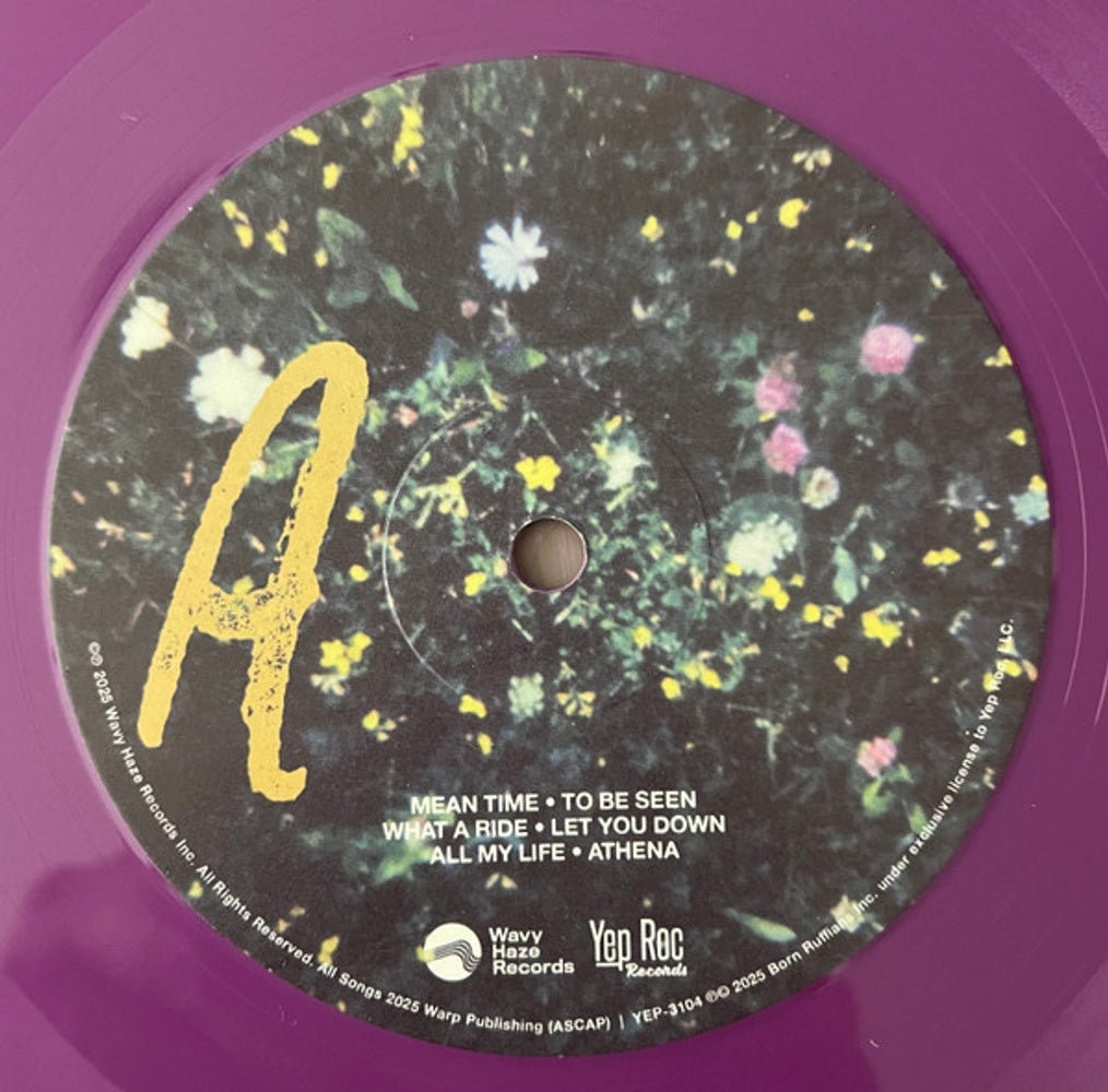 Label Disc: Born Ruffians – Beauty's Pride (Colored, Purp LP Vinyl) Vinyl LP | Relix