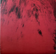 Label Disc: Dead Can Dance – Spiritchaser Vinyl LP | Relix
