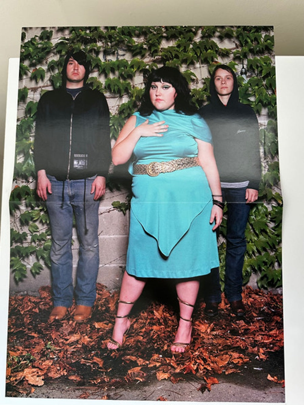 Label Disc: Gossip – Standing In The Way Of Control (Colored, Pnk, Post LP Vinyl) Vinyl LP | Relix