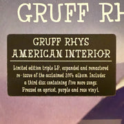 Label Disc: Gruff Rhys – American Interior (Remastered LP Vinyl) Vinyl LP | Relix