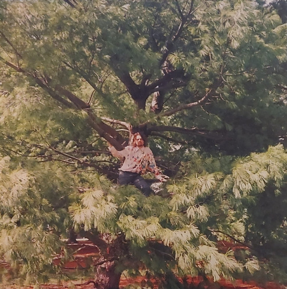 Label Disc: Kevin Morby – More Photographs (A Continuum LP Vinyl) Vinyl LP | Relix