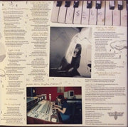 Label Disc: Mary Timony – Mountains Vinyl LP | Relix