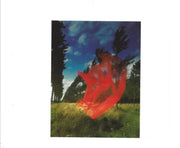 Label Disc: Pink Floyd – Wish You Were Here CD | Relix