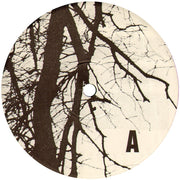 Label Disc: The Thermals – Desperate Ground Vinyl LP | Relix