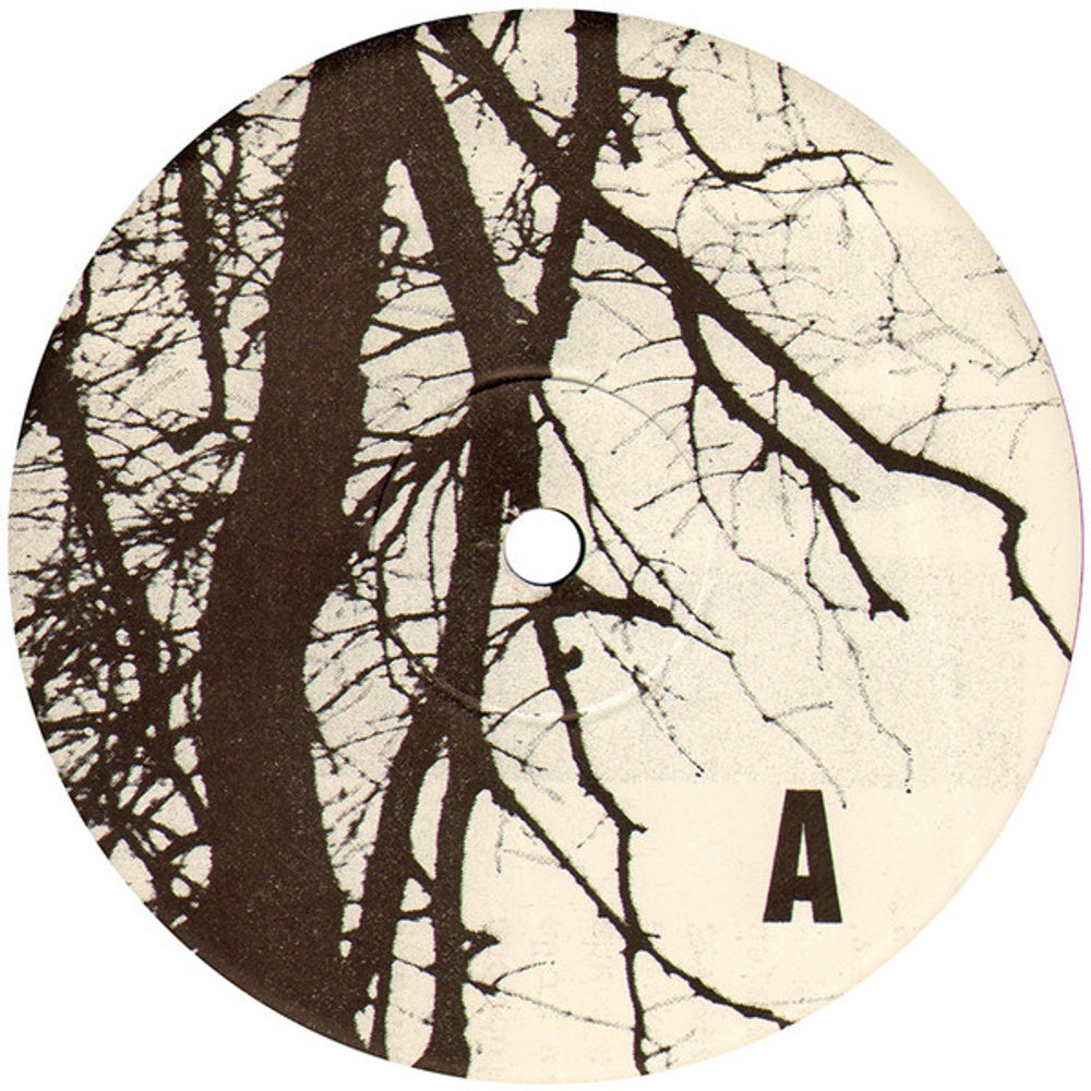 Label Disc: The Thermals – Desperate Ground Vinyl LP | Relix