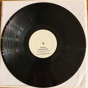 Label Disc: Two Gallants – The Bloom and The Blight Vinyl LP | Relix
