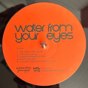 Label Disc: Water From Your Eyes – It's A Beautiful Place Vinyl LP | Relix