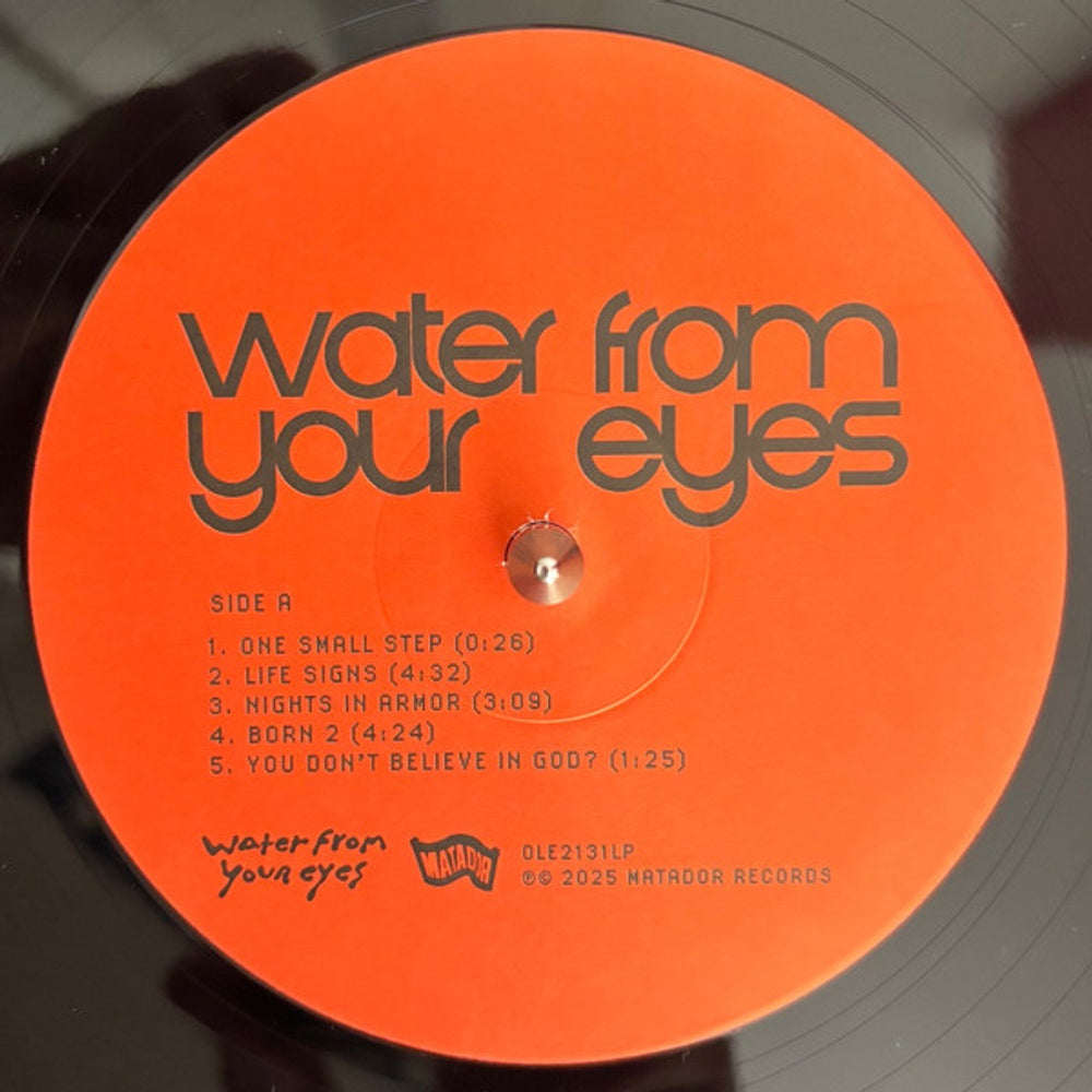 Label Disc: Water From Your Eyes – It's A Beautiful Place Vinyl LP | Relix