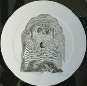 Label Disc: Wrekmeister Harmonies – We Love To Look At The Carnage Vinyl LP | Relix