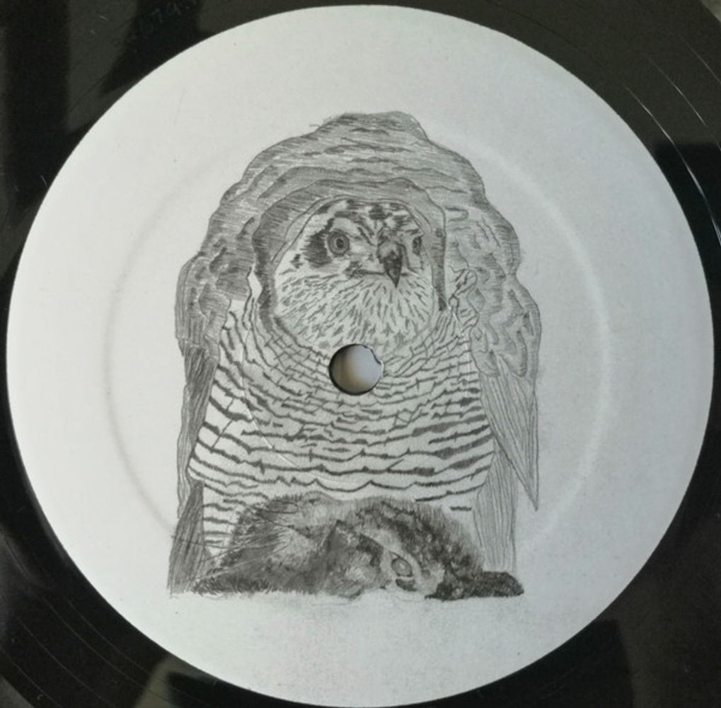 Label Disc: Wrekmeister Harmonies – We Love To Look At The Carnage Vinyl LP | Relix