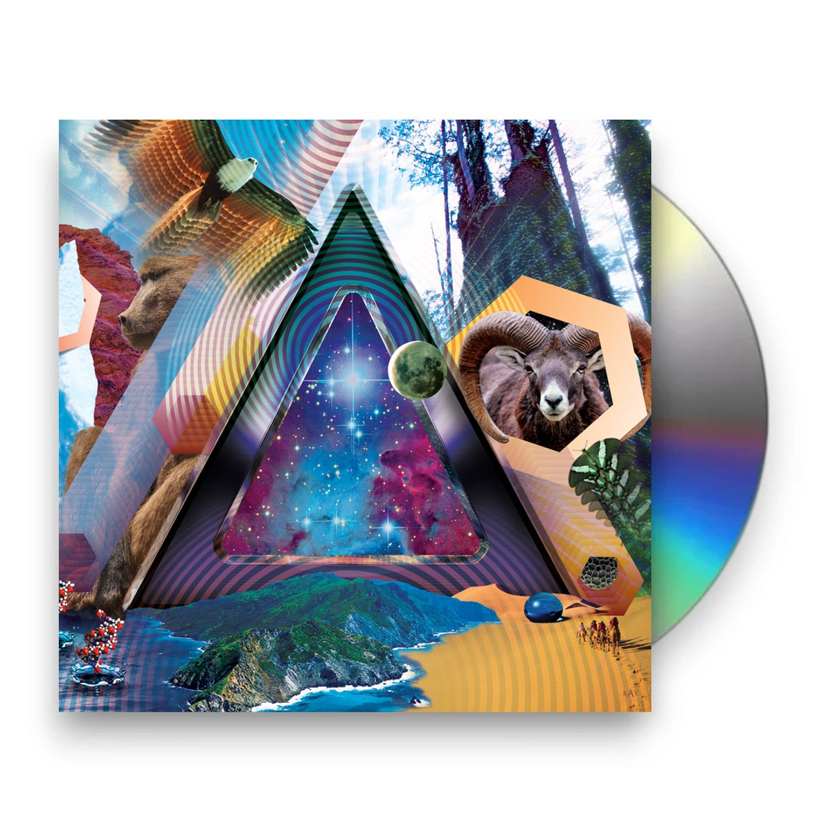 Packshot: 311 – Universal Pulse CD | Relix