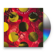 Packshot – David Byrne – Rei Momo (Import CD) – CD – Relix