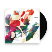 Packshot – Cody Dickinson – Homemade (LP Vinyl) – LP – Relix
