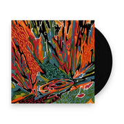 Packshot: Akusmi – Terra Incognita Vinyl LP | Relix