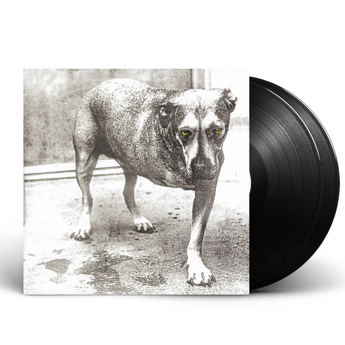 Packshot: Alice In Chains – Alice In Chains (30th Anniversary Reissue, Colored LP Vinyl) Vinyl LP | Relix