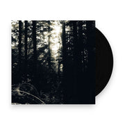 Packshot: Allison Graves – I Still Look For The Mountains (LP Vinyl) Vinyl LP | Relix