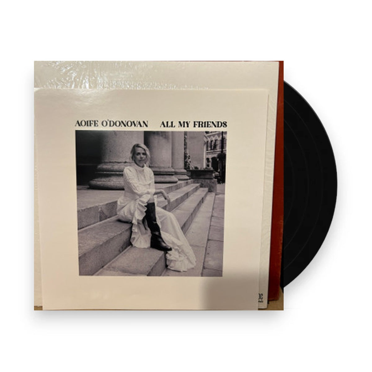 Packshot: Aoife O'Donovan – All My Friends (Opaque Violet LP Vinyl) Vinyl LP | Relix