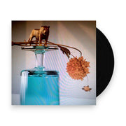 Packshot: Beirut – Gallipoli Vinyl LP | Relix