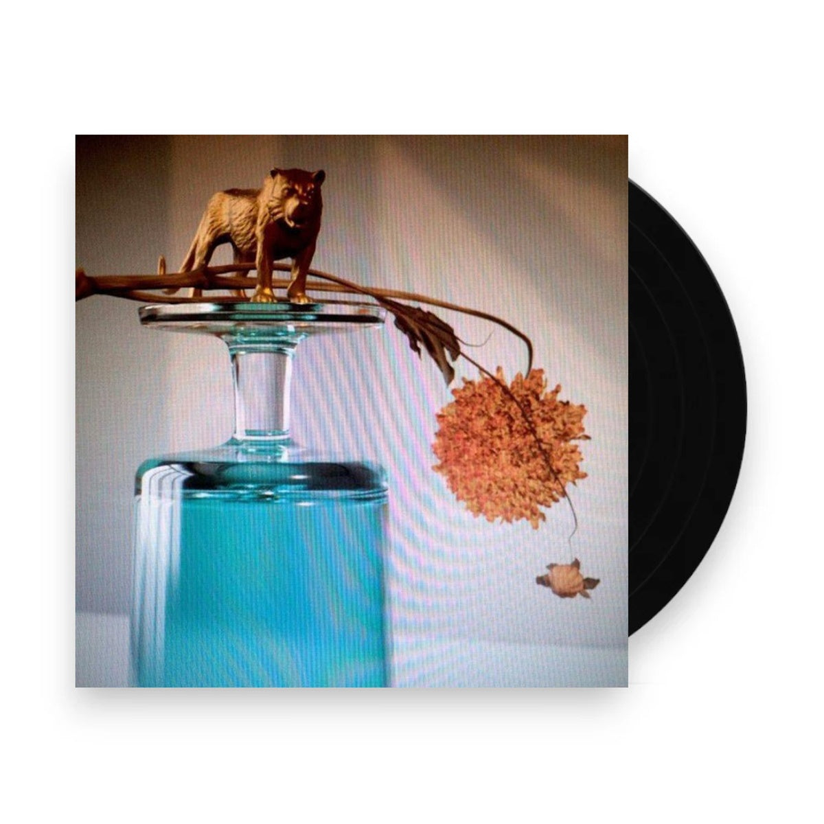 Packshot: Beirut – Gallipoli Vinyl LP | Relix