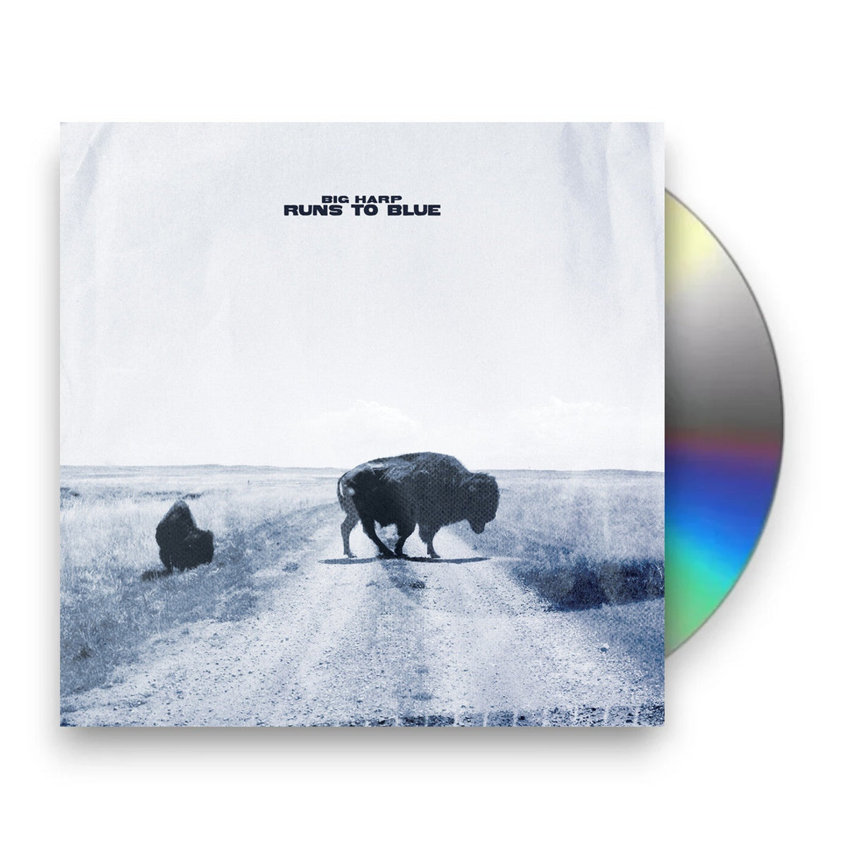 Packshot: Big Harp – Runs To Blue CD | Relix