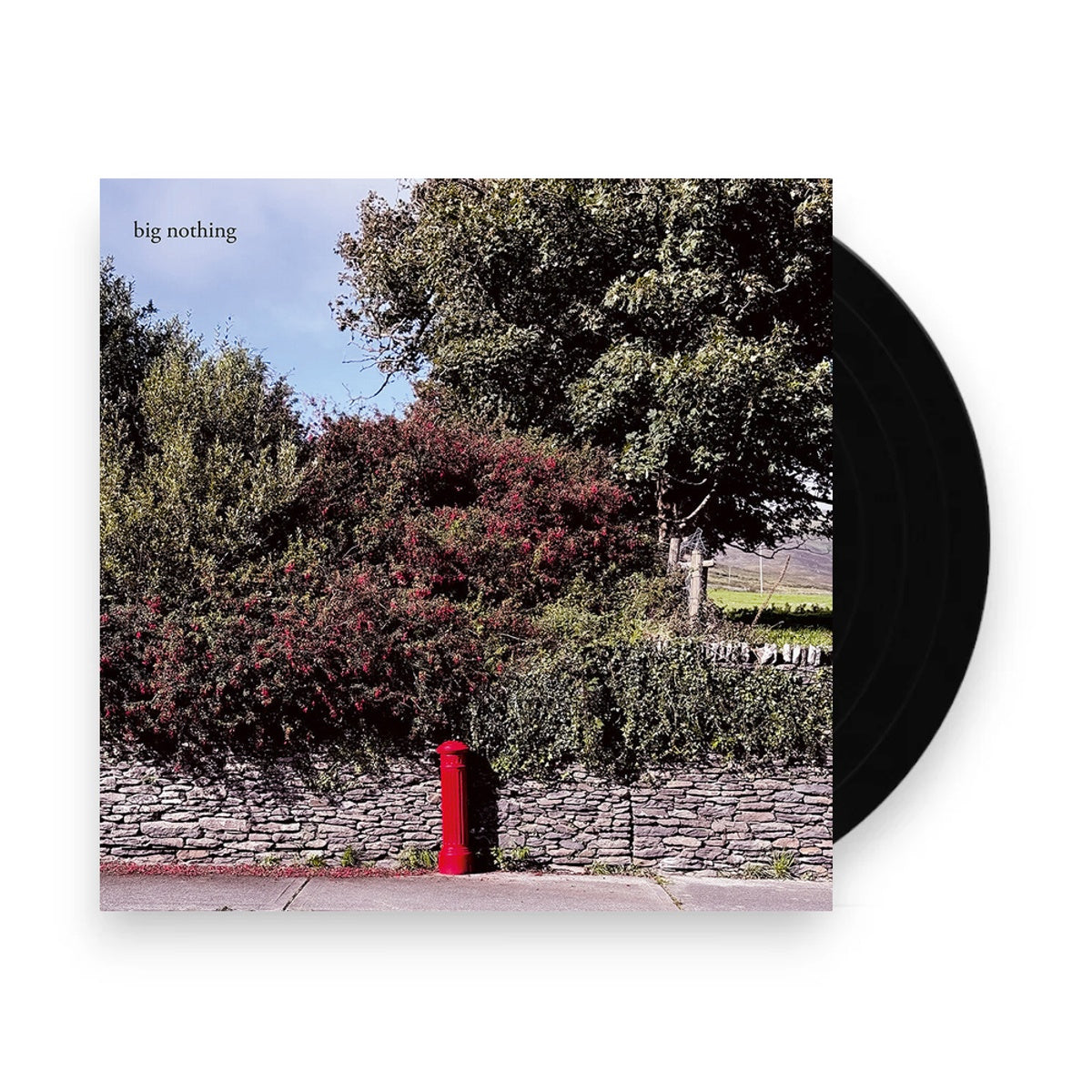 Packshot: Big Nothing – Big Nothing Vinyl LP | Relix