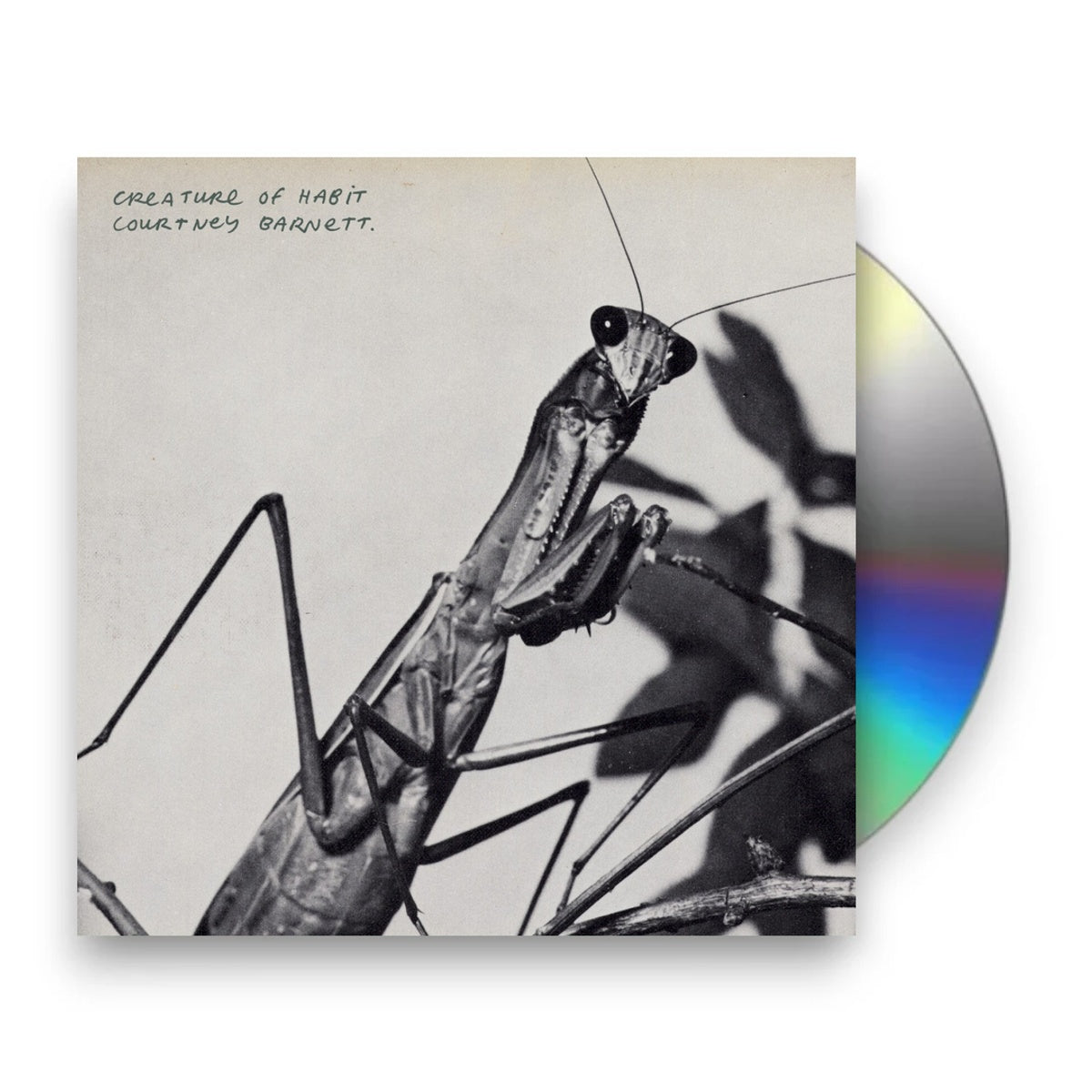 Packshot: Courtney Barnett – Creature of Habit CD | Relix