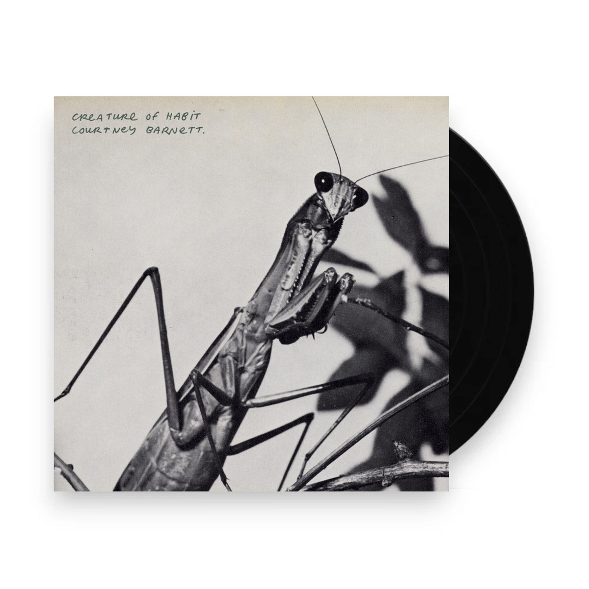 Packshot: Courtney Barnett – Creature of Habit Vinyl LP | Relix