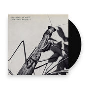 Packshot: Courtney Barnett – Creature of Habit Vinyl LP | Relix