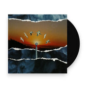 Packshot: Daisyhead – If You Find It Let Me Know Vinyl LP | Relix